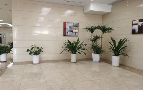 旷怡大厦实拍图1